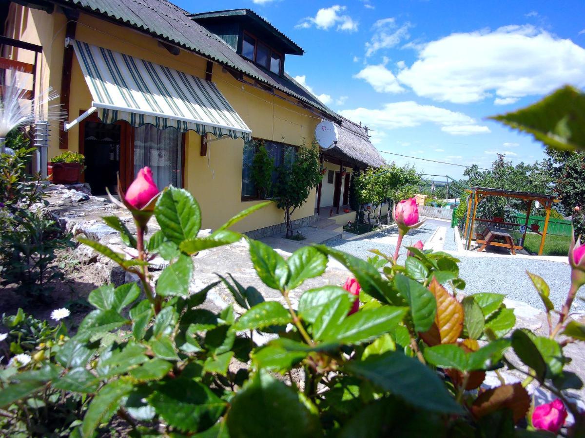 Casa Adi Si Maria Ξενοδοχείο Mahmudia Εξωτερικό φωτογραφία