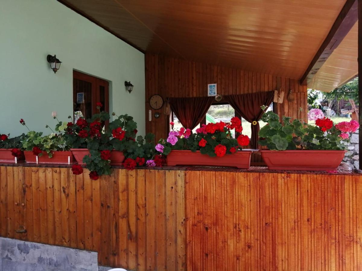 Casa Adi Si Maria Ξενοδοχείο Mahmudia Εξωτερικό φωτογραφία