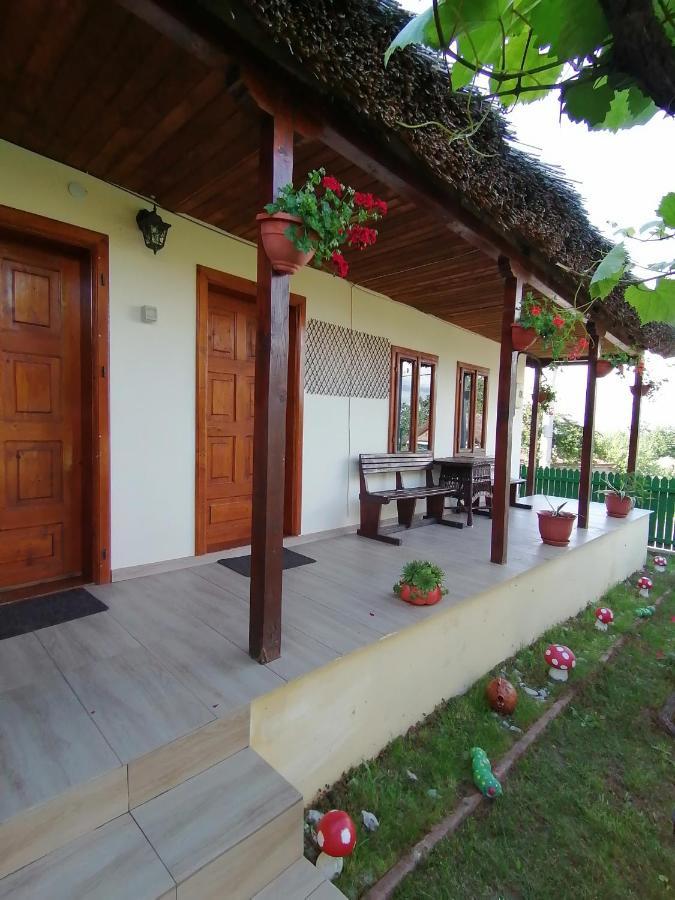 Casa Adi Si Maria Ξενοδοχείο Mahmudia Εξωτερικό φωτογραφία
